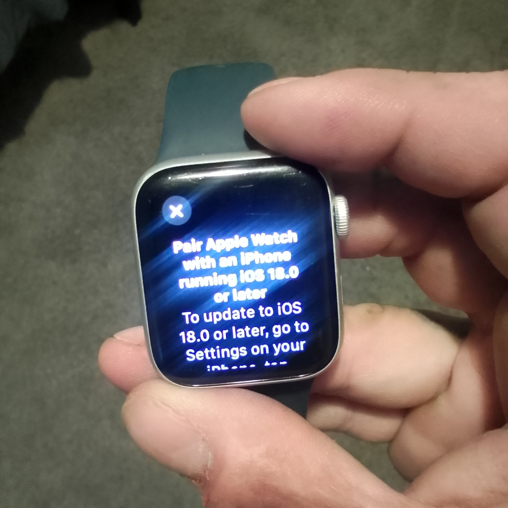 Apple Smartwatch - Silver and Blue